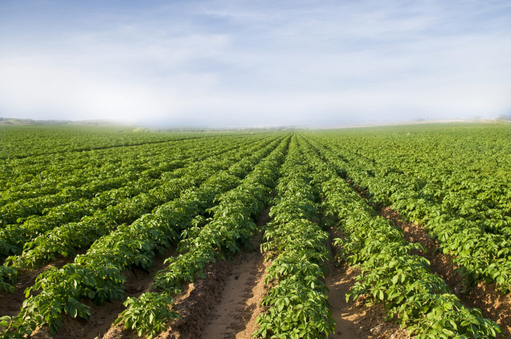 field image about us